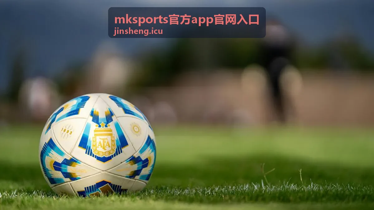 提交注册信息与验证码校验环节示意